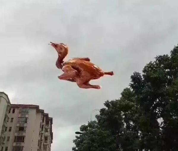 &ldquo;天鴿&rdquo;登陸了又怎樣，智彤印刷正常發(fā)放福利！