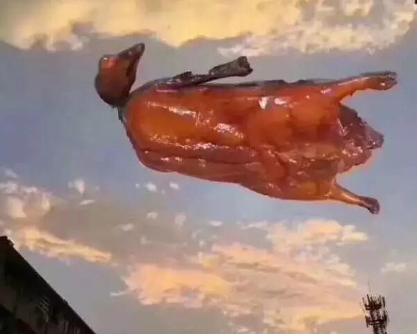 &ldquo;天鴿&rdquo;登陸了又怎樣，智彤印刷正常發(fā)放福利！