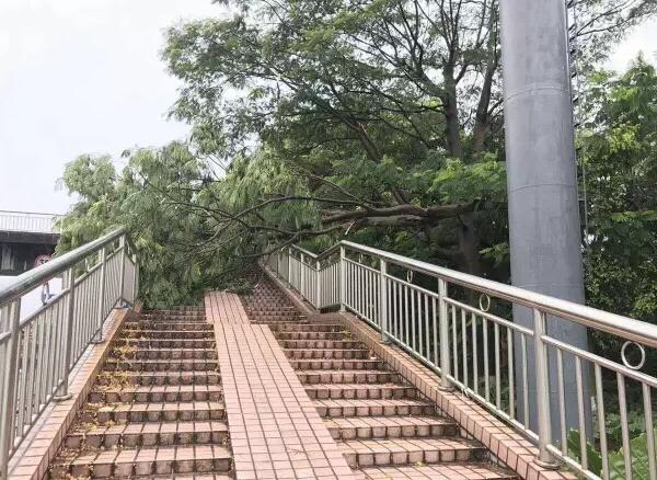 &ldquo;天鴿&rdquo;登陸了又怎樣，智彤印刷正常發(fā)放福利！