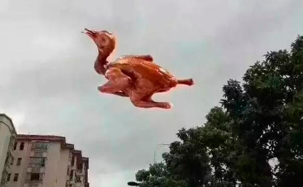 “天鴿”登陸了又怎樣，智彤印刷正常發(fā)放福利！